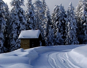 ILGAZ TURU